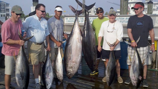 Rockfish Off of Ocean City, Maryland - Ocean City MD Fishing