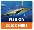 Fish On cover